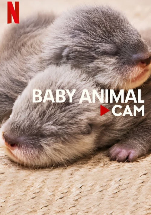 Poster  de la temporada 1 de Baby Animals