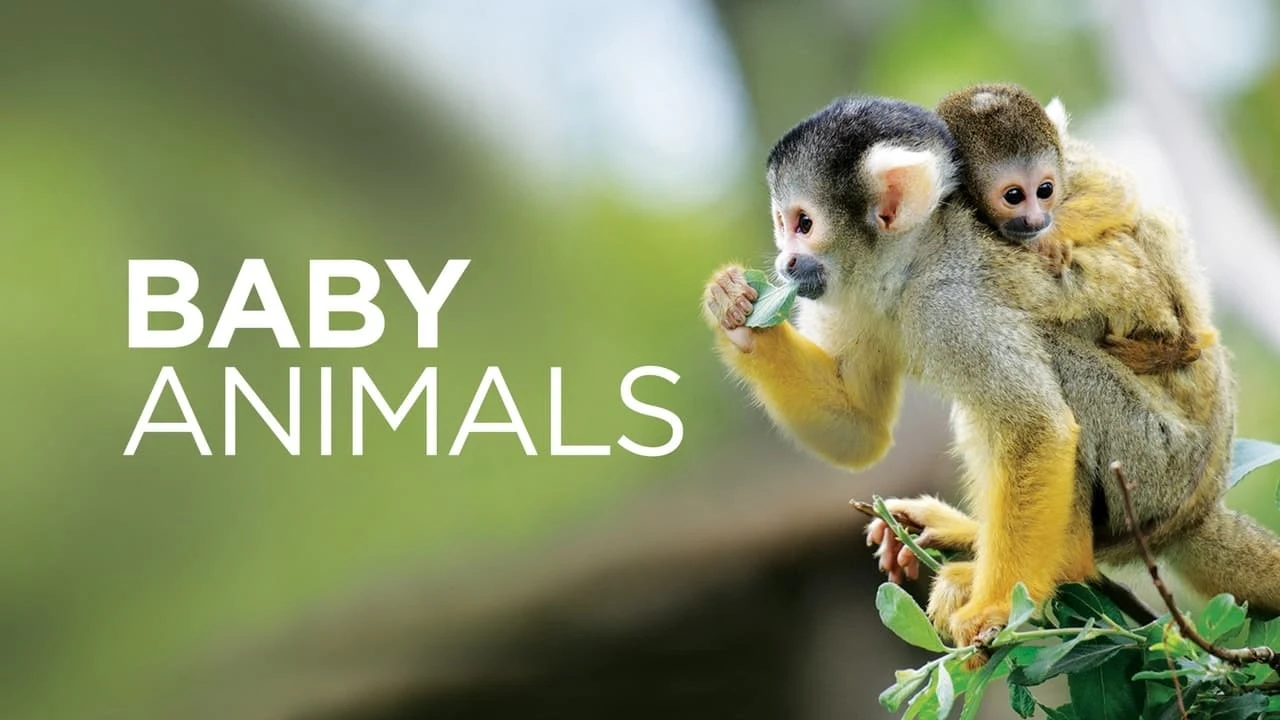 Foto de Baby Animals