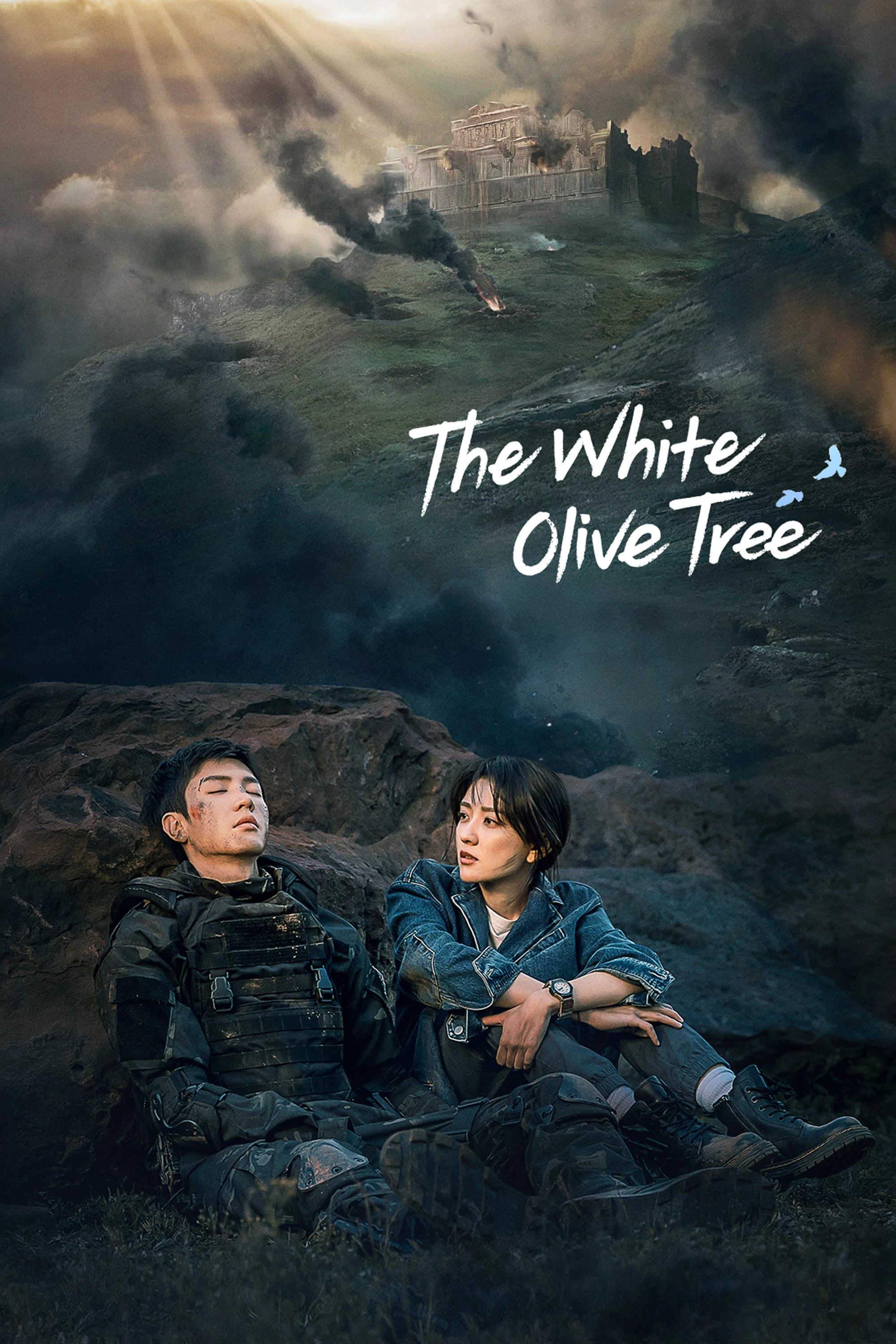 Poster  de White Olive Tree en inglés