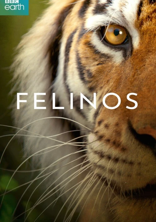 Poster  de la temporada 1 de Big Cats