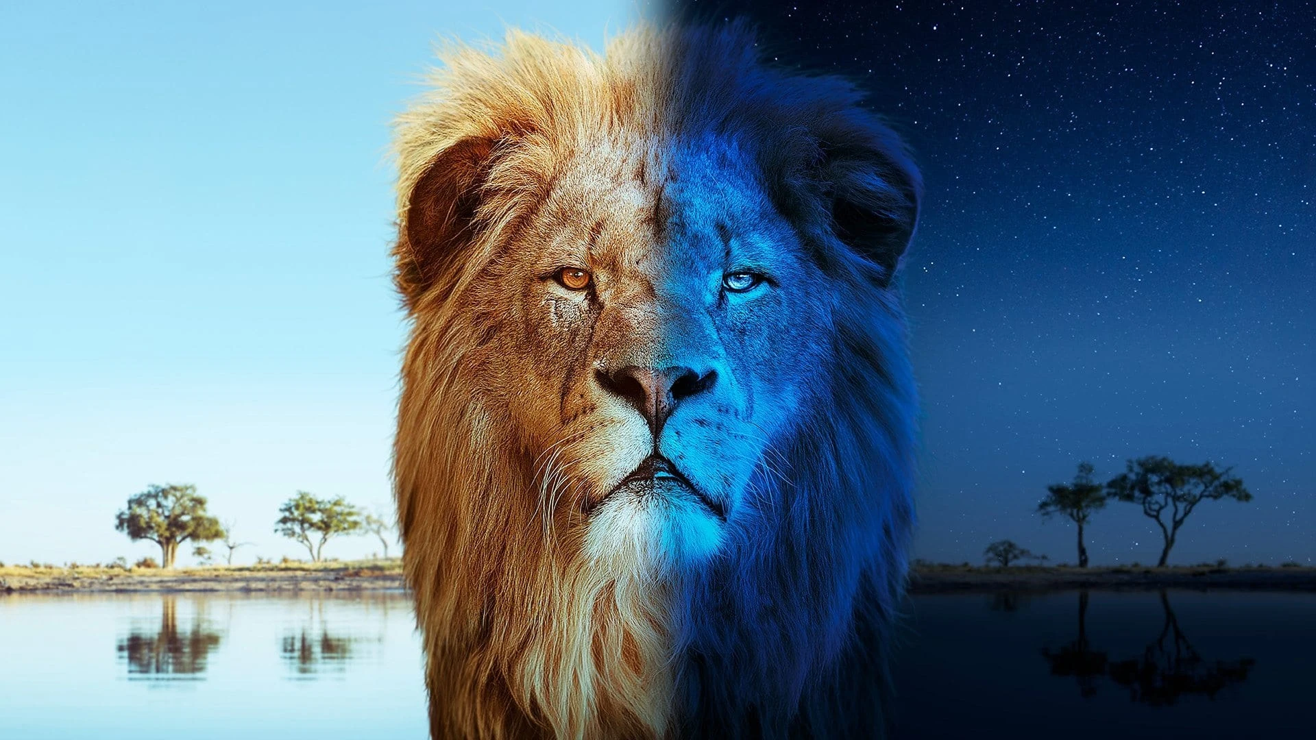 Foto de Big Cats 24/7