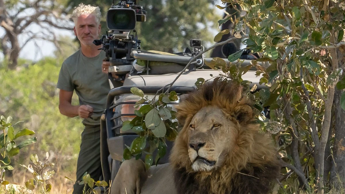 Foto de Big Cats 24/7