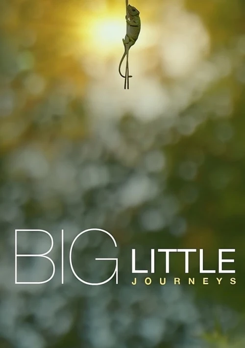 Poster  de la temporada 1 de Big Little Journeys