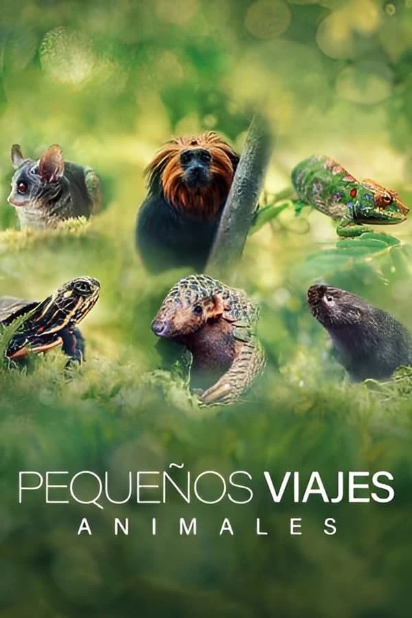 Poster  de Big Little Journeys en español