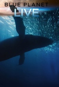 Blue Planet Live