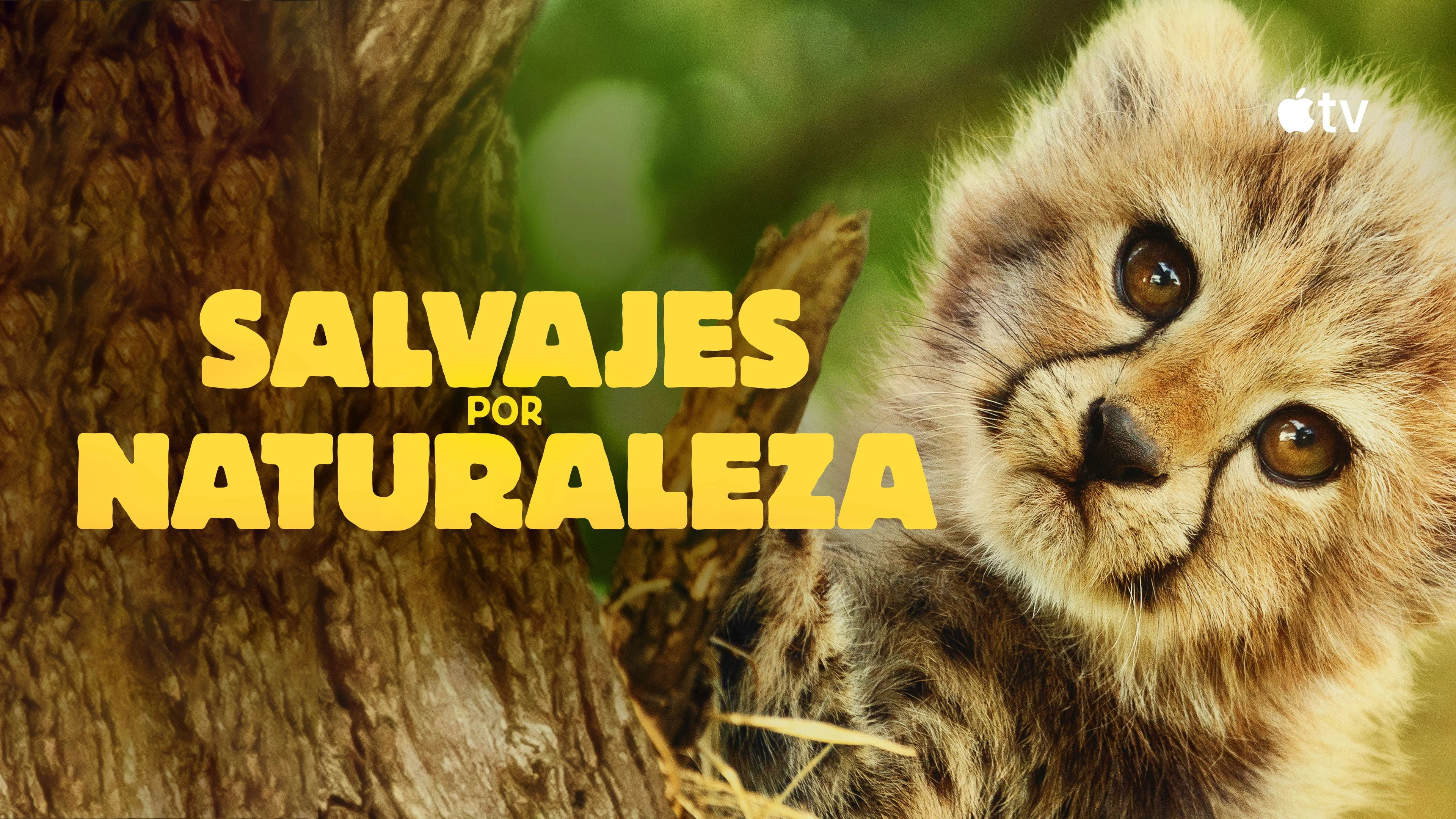 Foto de Born to Be Wild