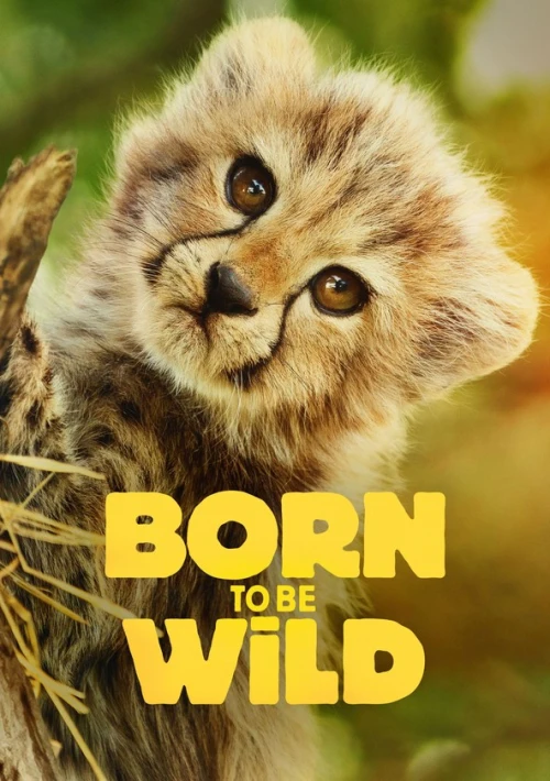 Poster  de la temporada 1 de Born to Be Wild