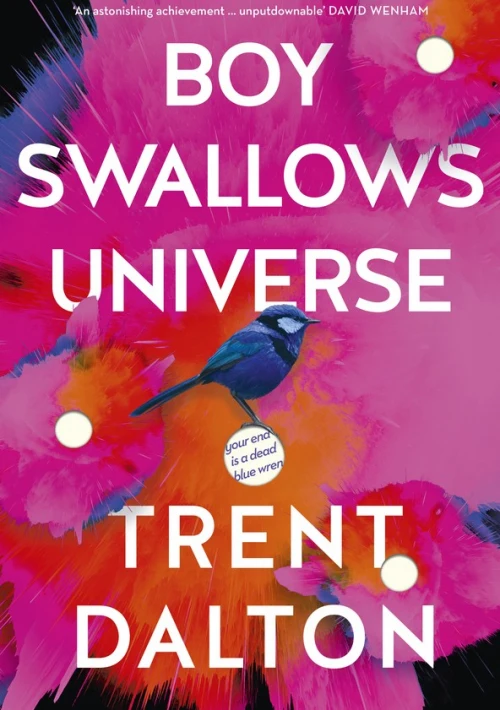 Poster  de la temporada 1 de Boy Swallows Universe