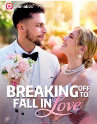 Serie Breaking Off to Fall in Love