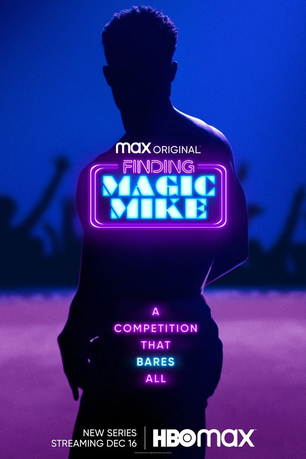 Poster  de Buscando a Magic Mike en inglés