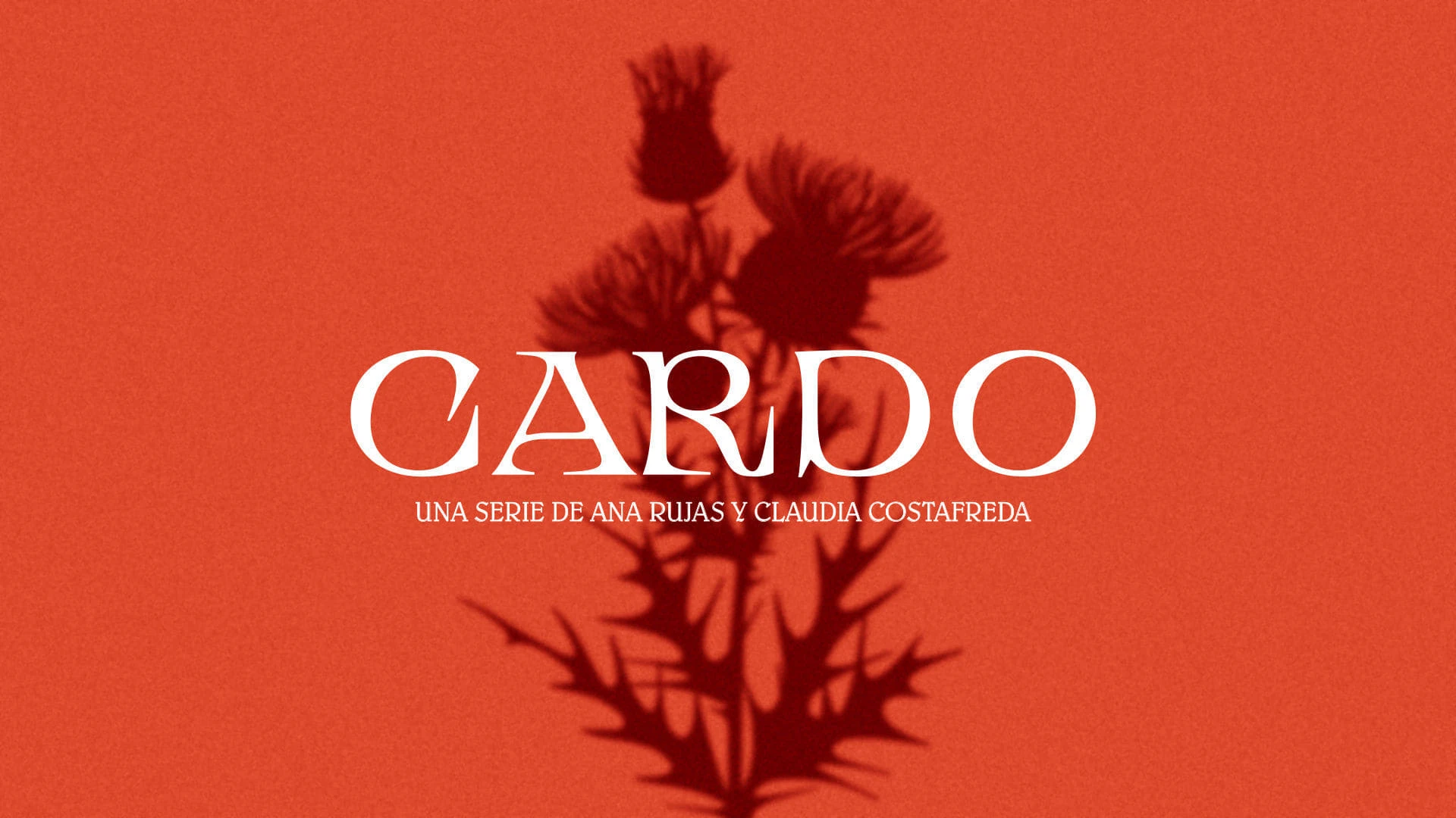 Foto de Cardo