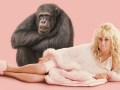 Foto de Chimp Crazy