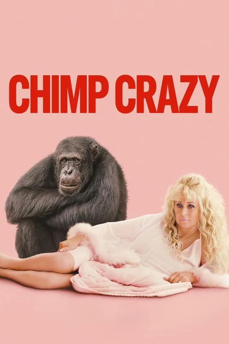 Poster  de Chimp Crazy en inglés