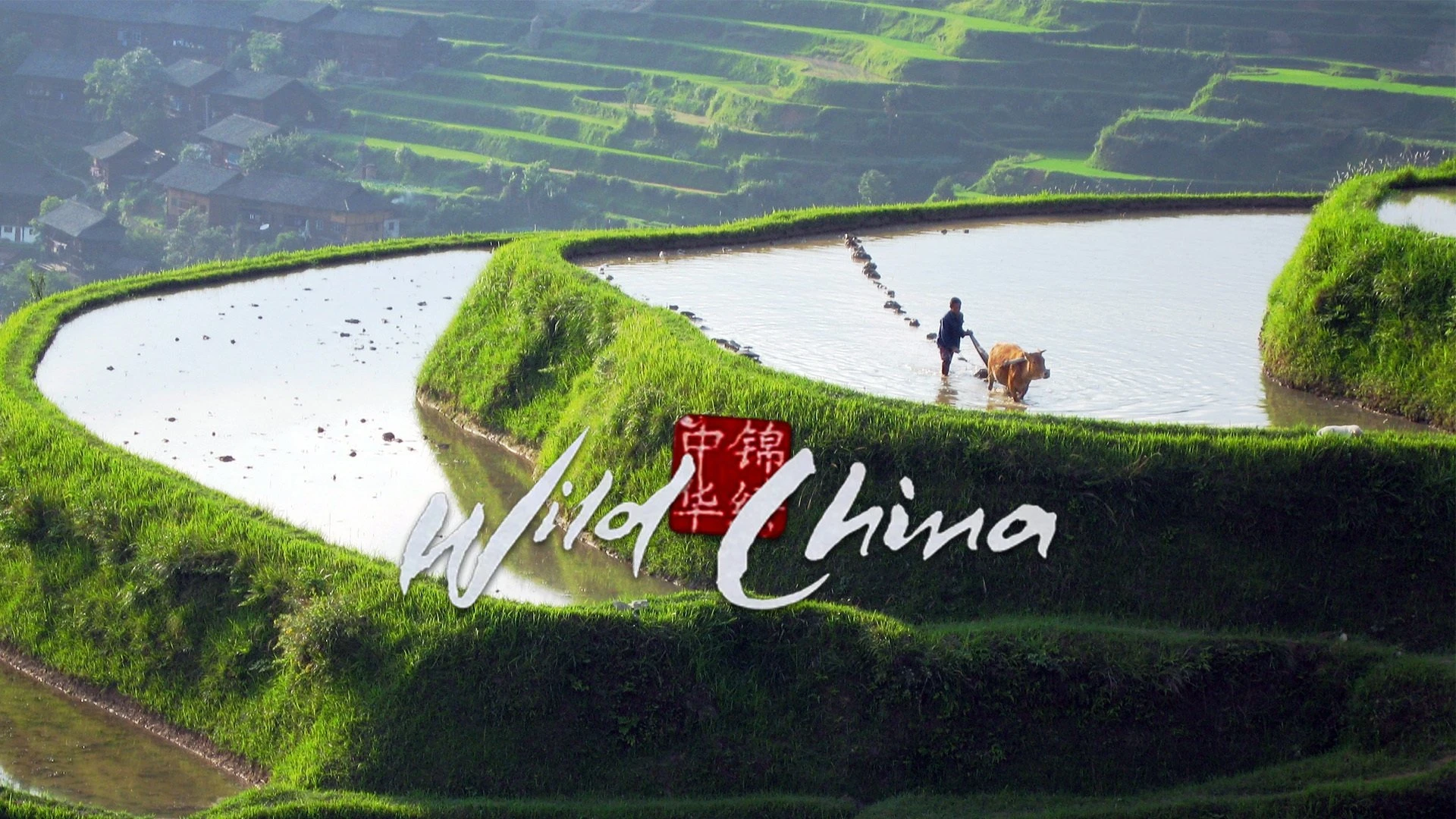 Foto de Wild China