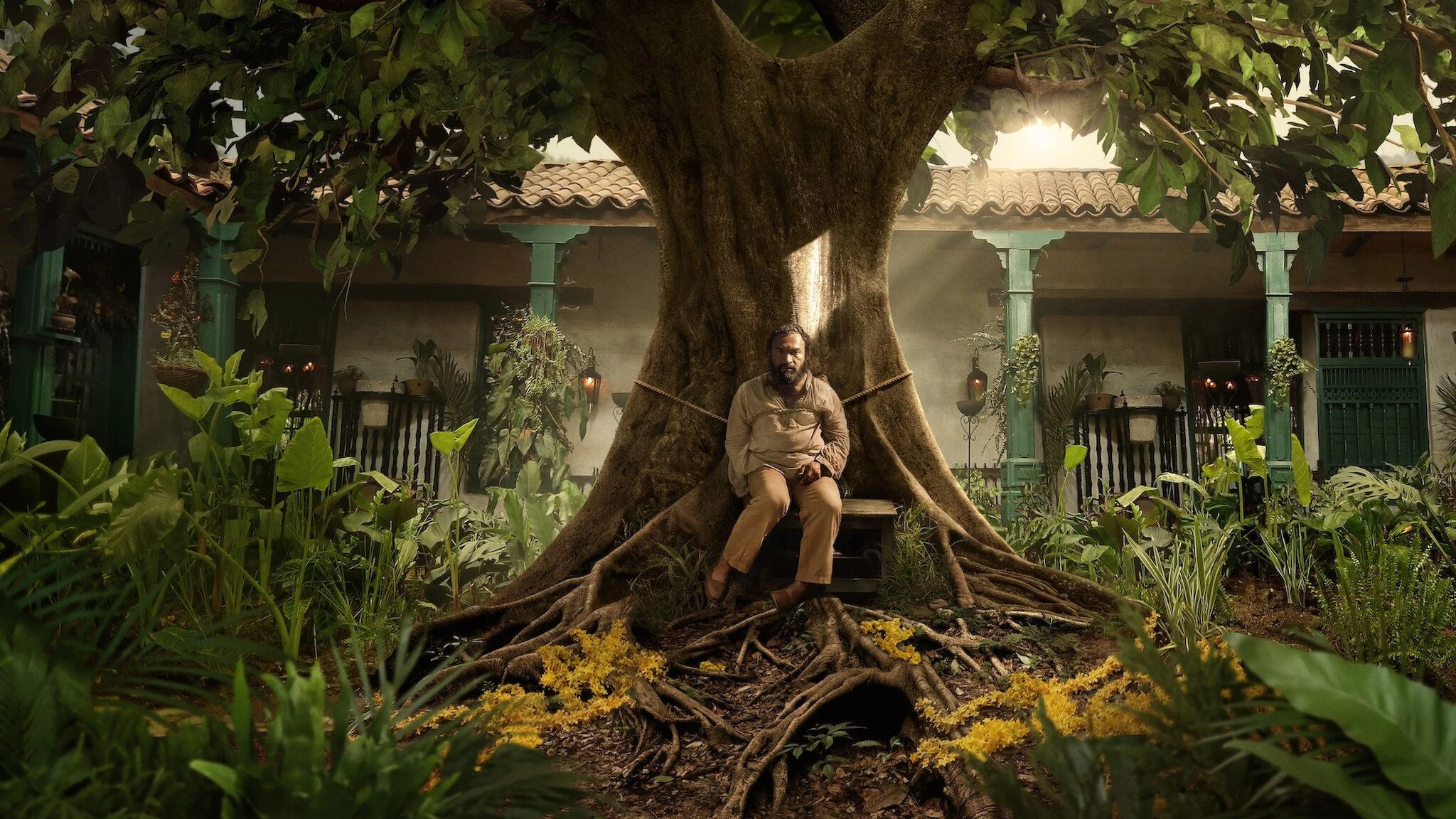 Foto de One Hundred Years of Solitude
