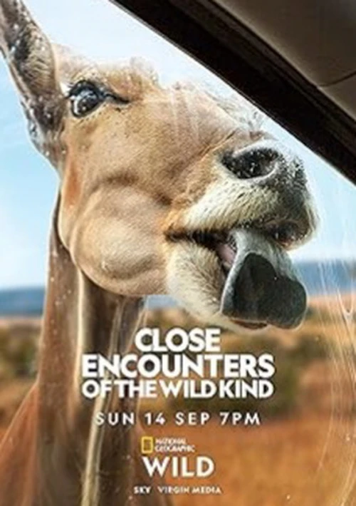 Poster  de la temporada 1 de Close Encounters of the Wild Kind