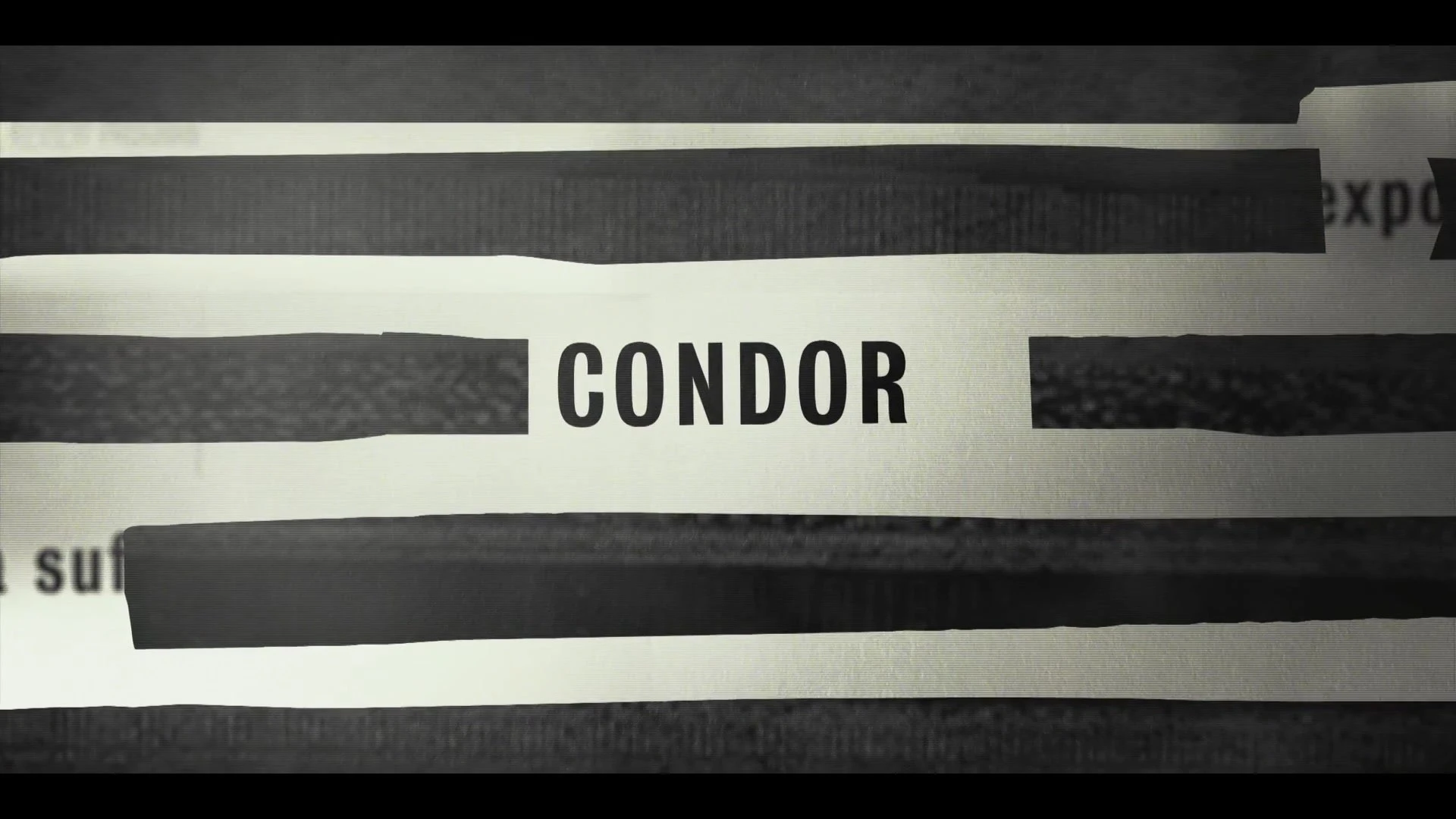 Foto de Condor