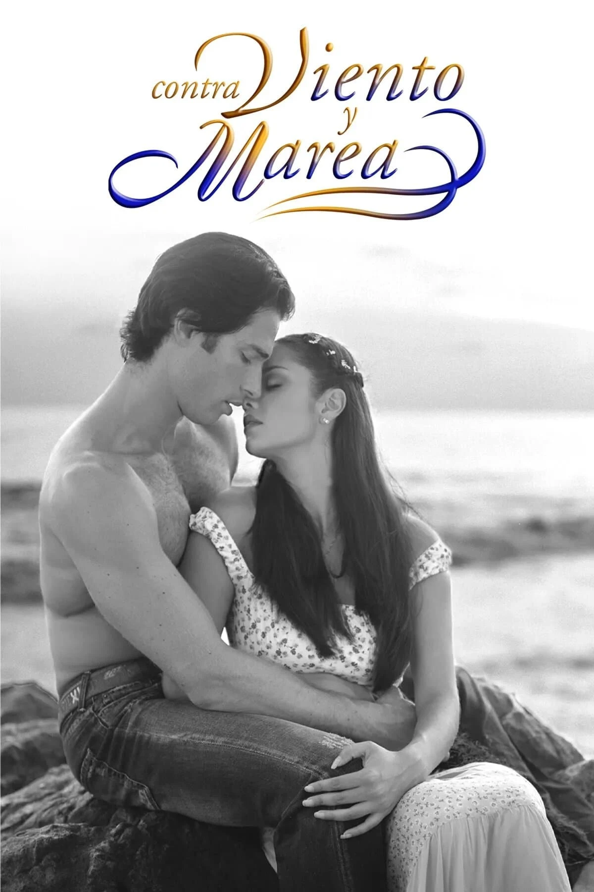 Poster  de Contra viento y marea en español