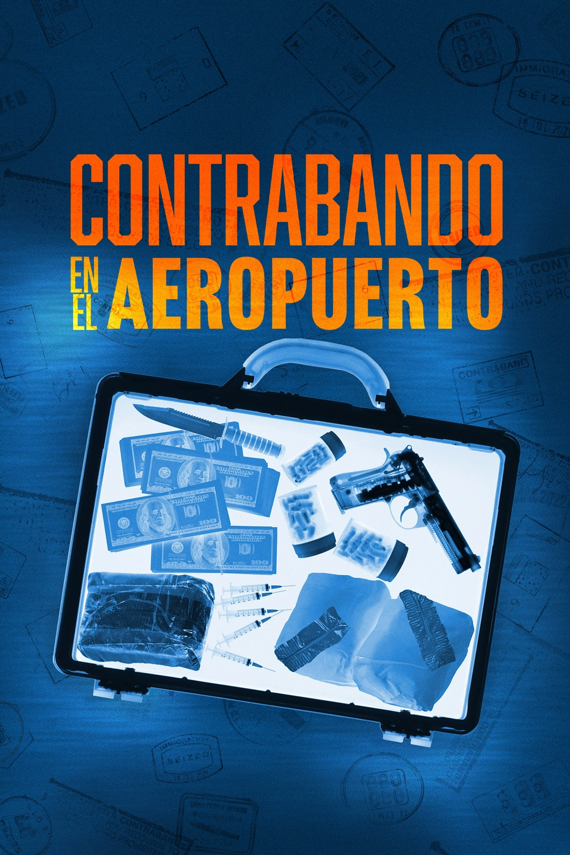Poster  de Contraband: Seized at the Airport en español