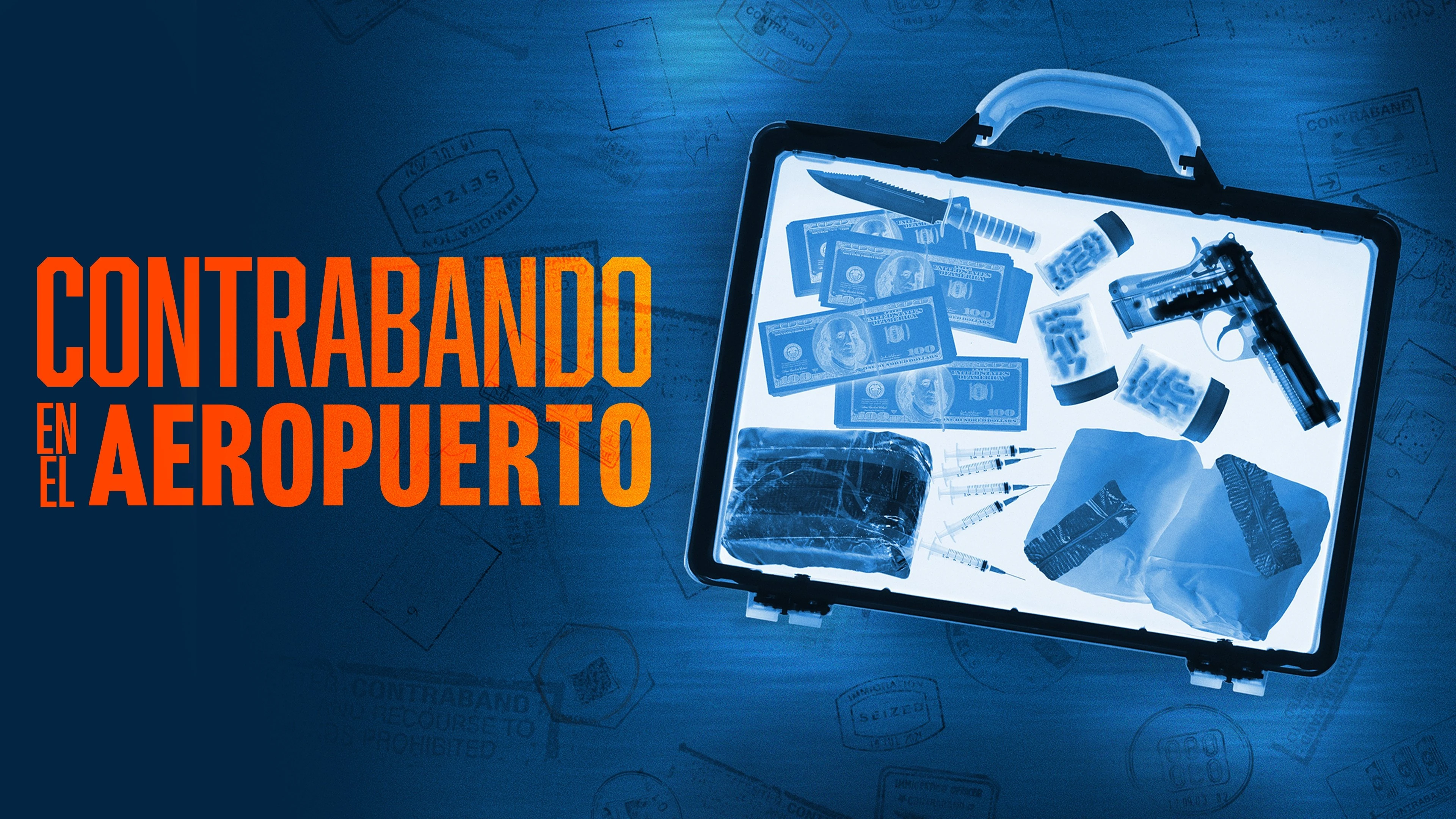 Foto de Contraband: Seized at the Airport