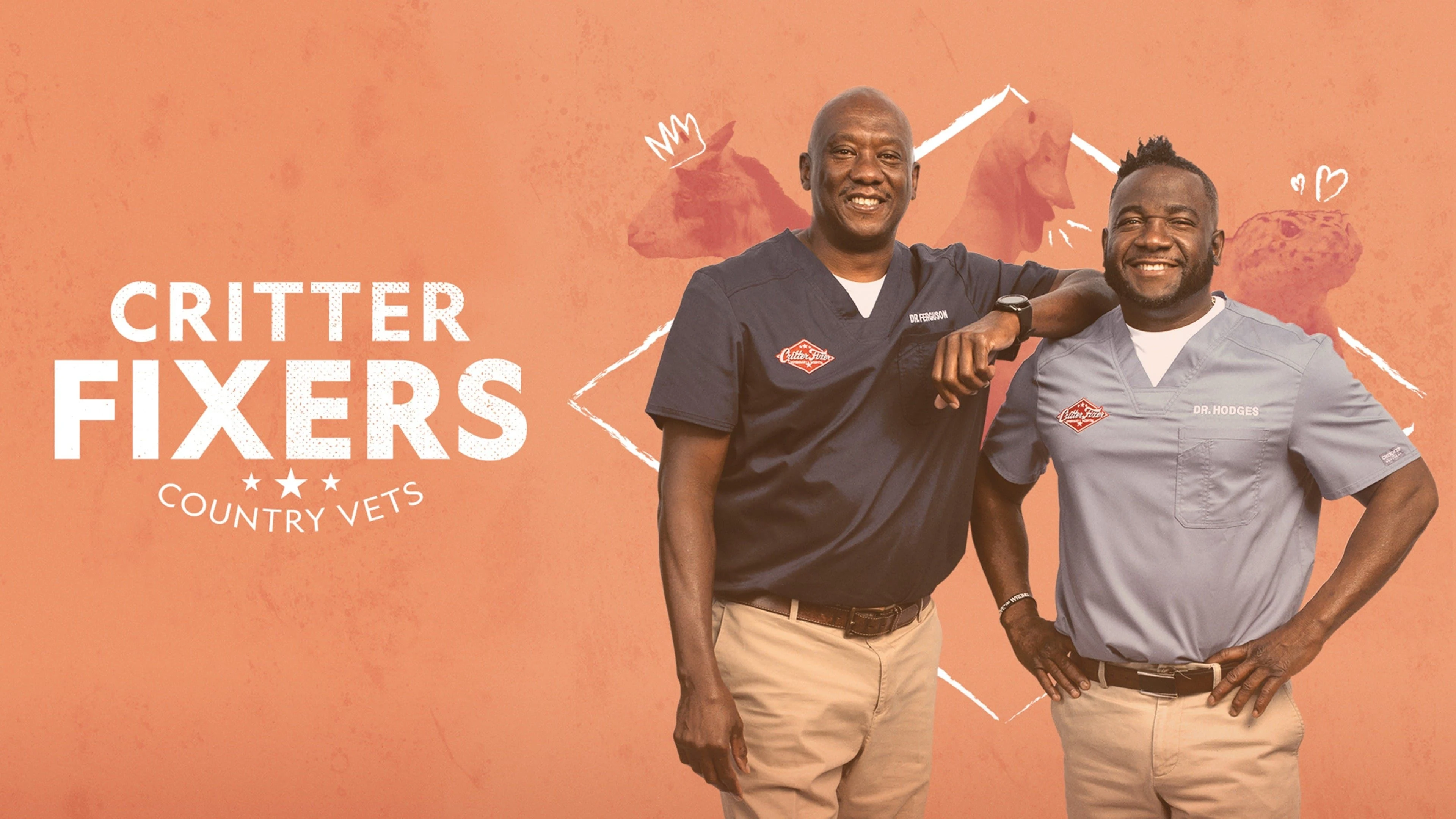 Foto de Critter Fixers: Country Vets