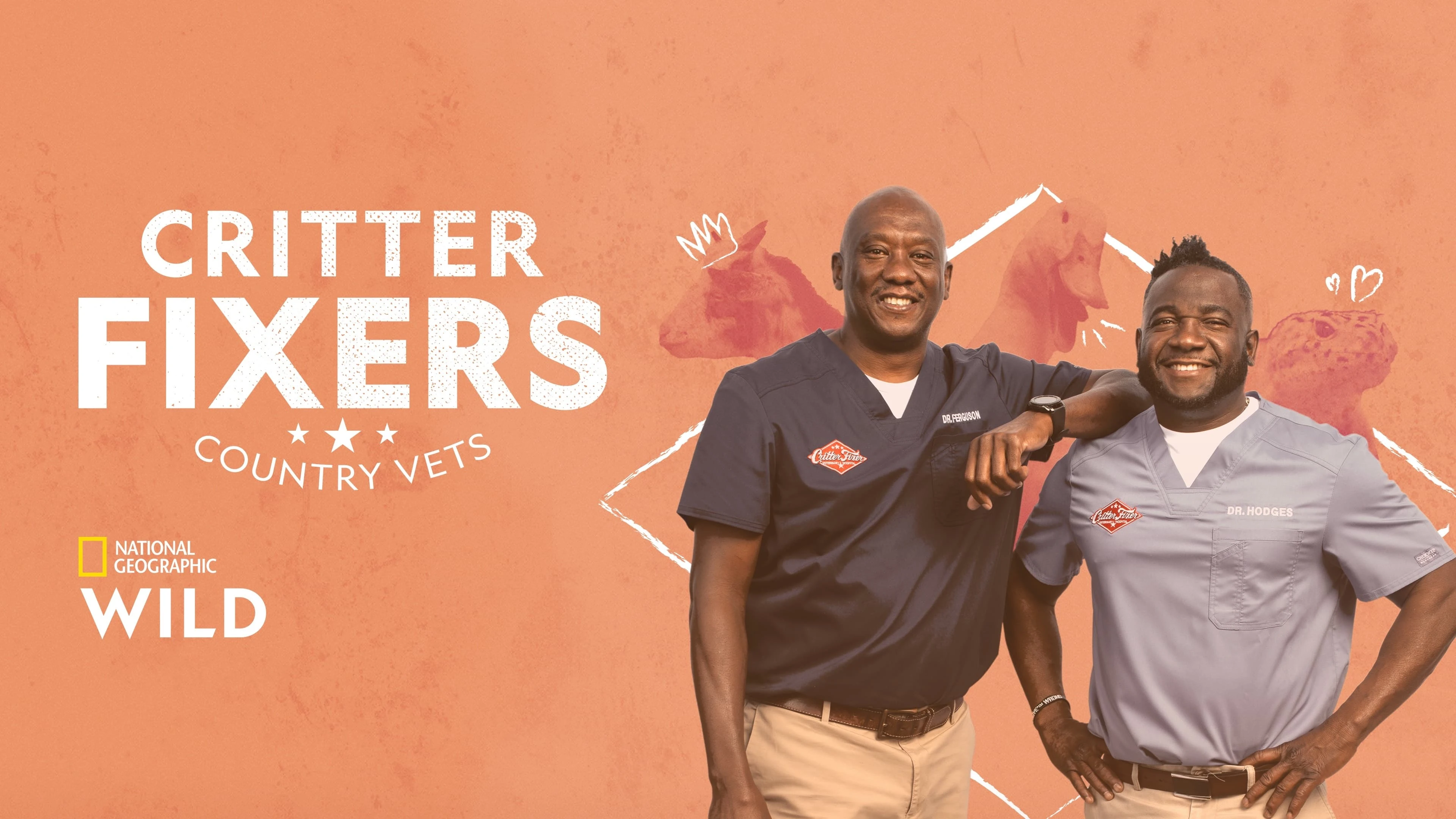 Foto de Critter Fixers: Country Vets
