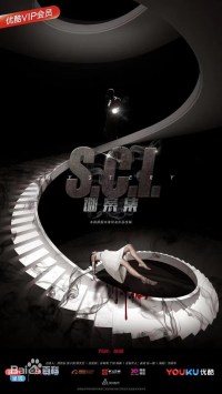 Serie CSI Mystery Case