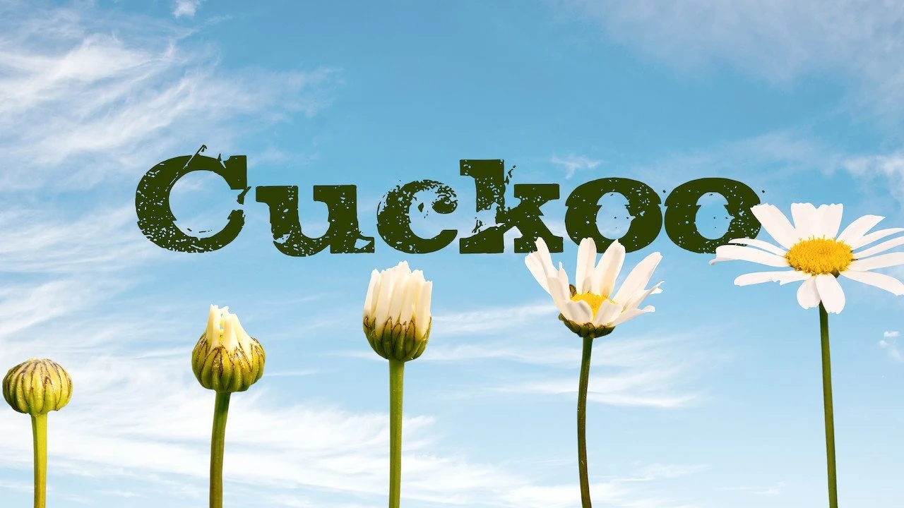 Foto de Cuckoo
