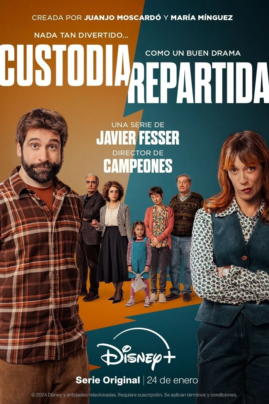 Poster  de Shared Custody en español