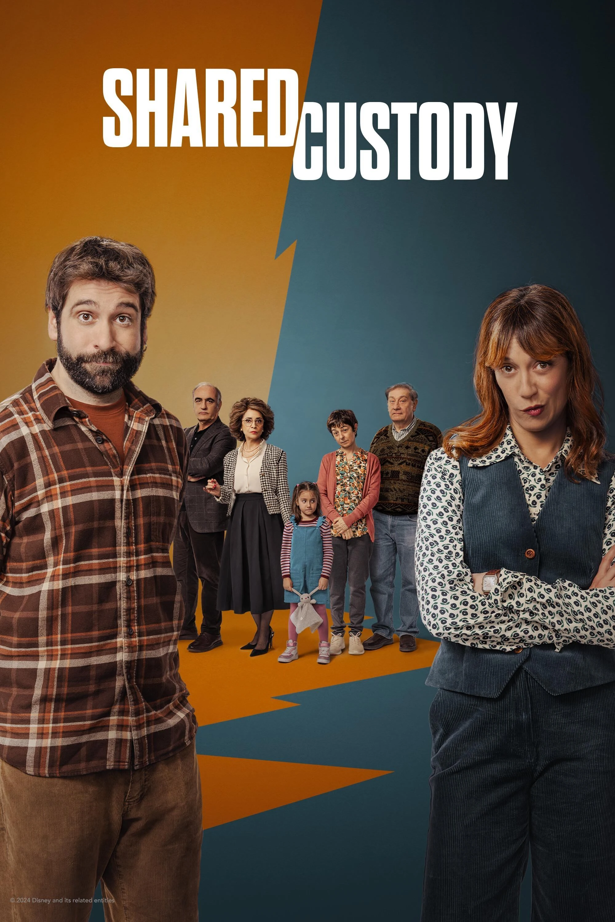 Poster  de Shared Custody en inglés