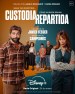 Shared Custody