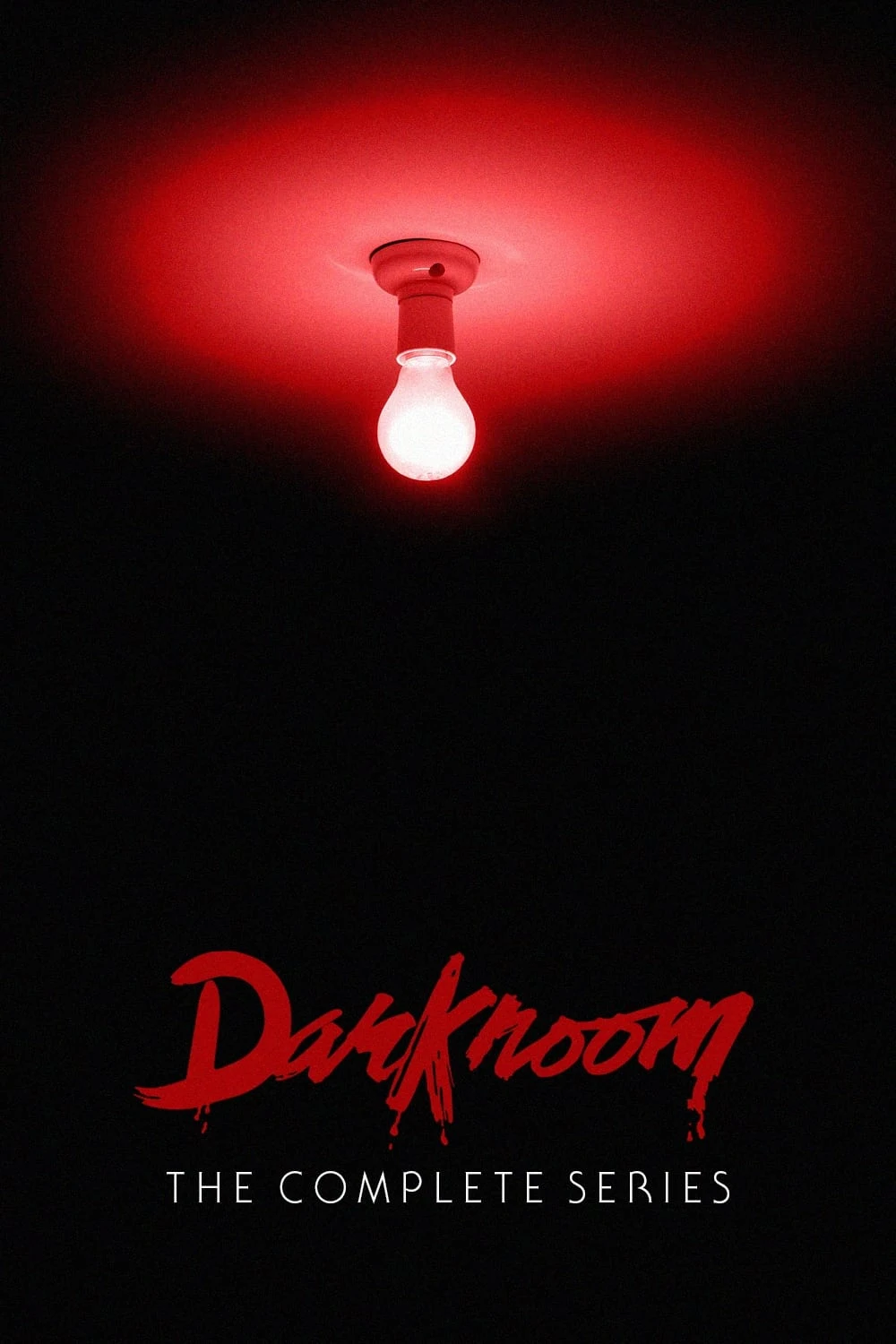 Poster  de Darkroom