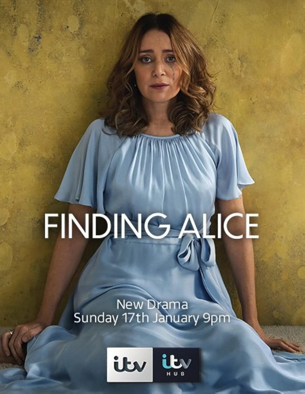Poster  de Descubriendo a Alice