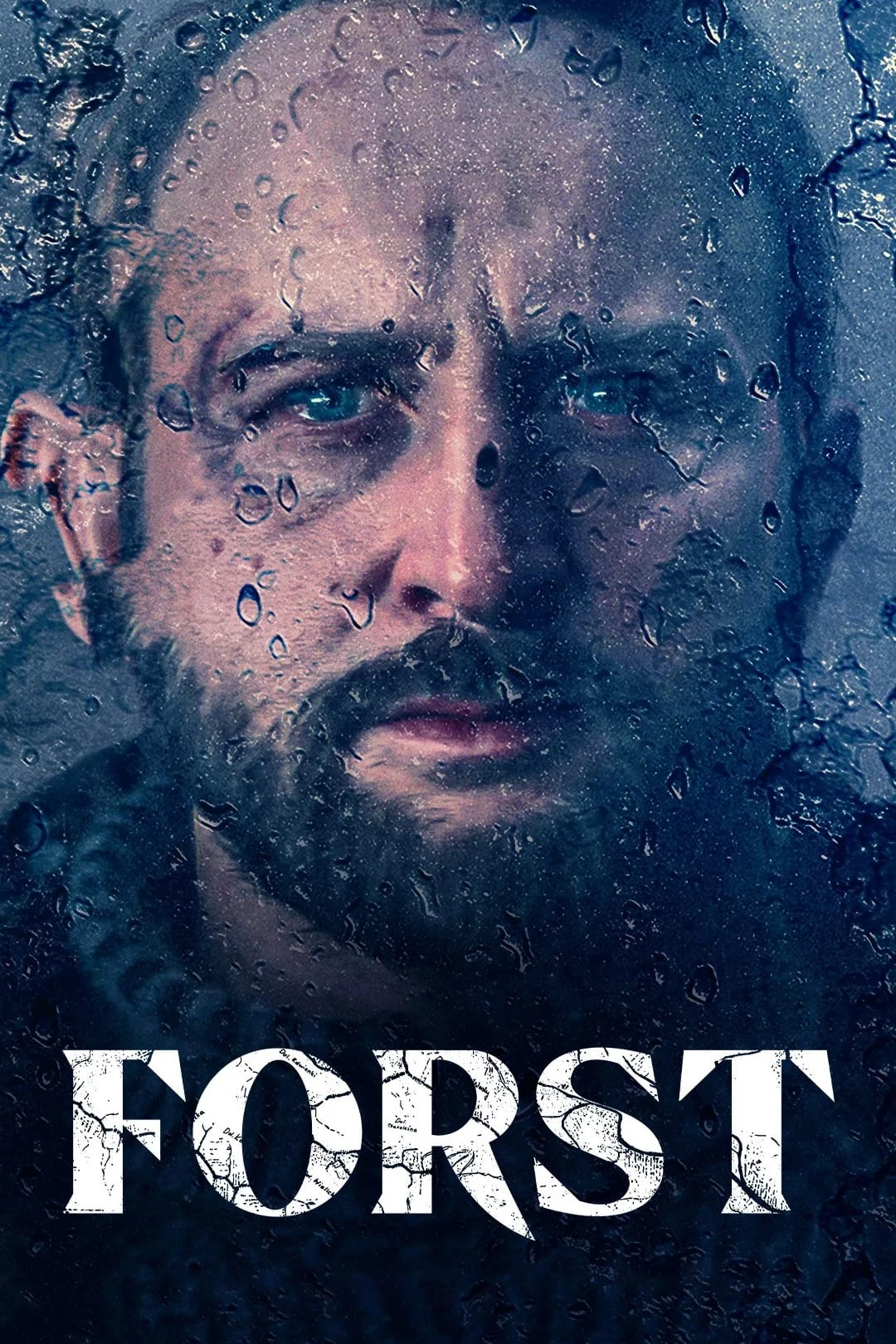 Poster  de Detektyw Forst