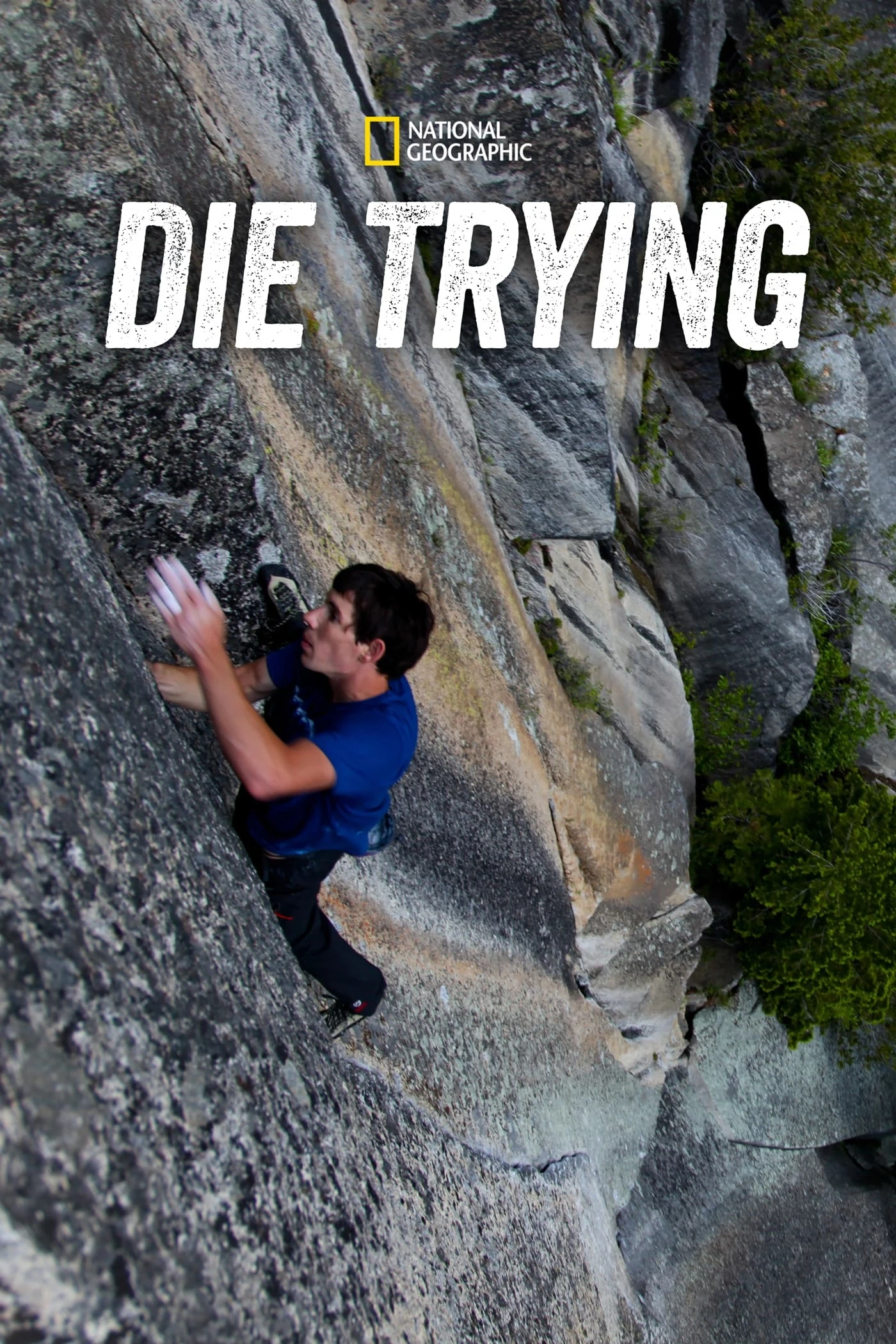 Poster  de Die Trying