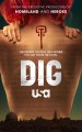 Dig