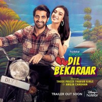 Serie Dil Bekaraar