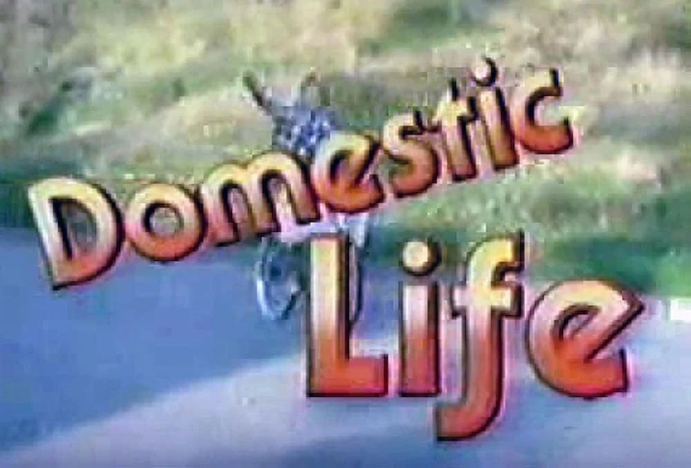 Poster  de Domestic Life