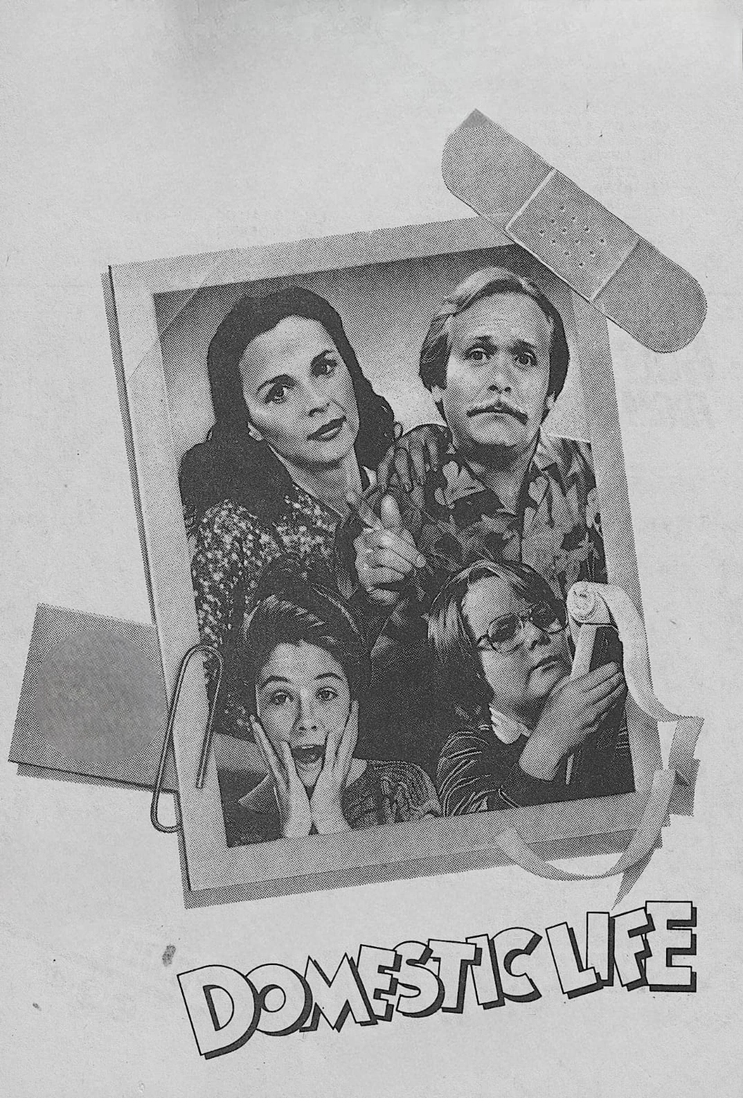 Poster  de Domestic Life
