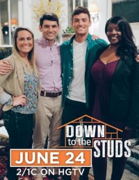 Serie Down to the Studs