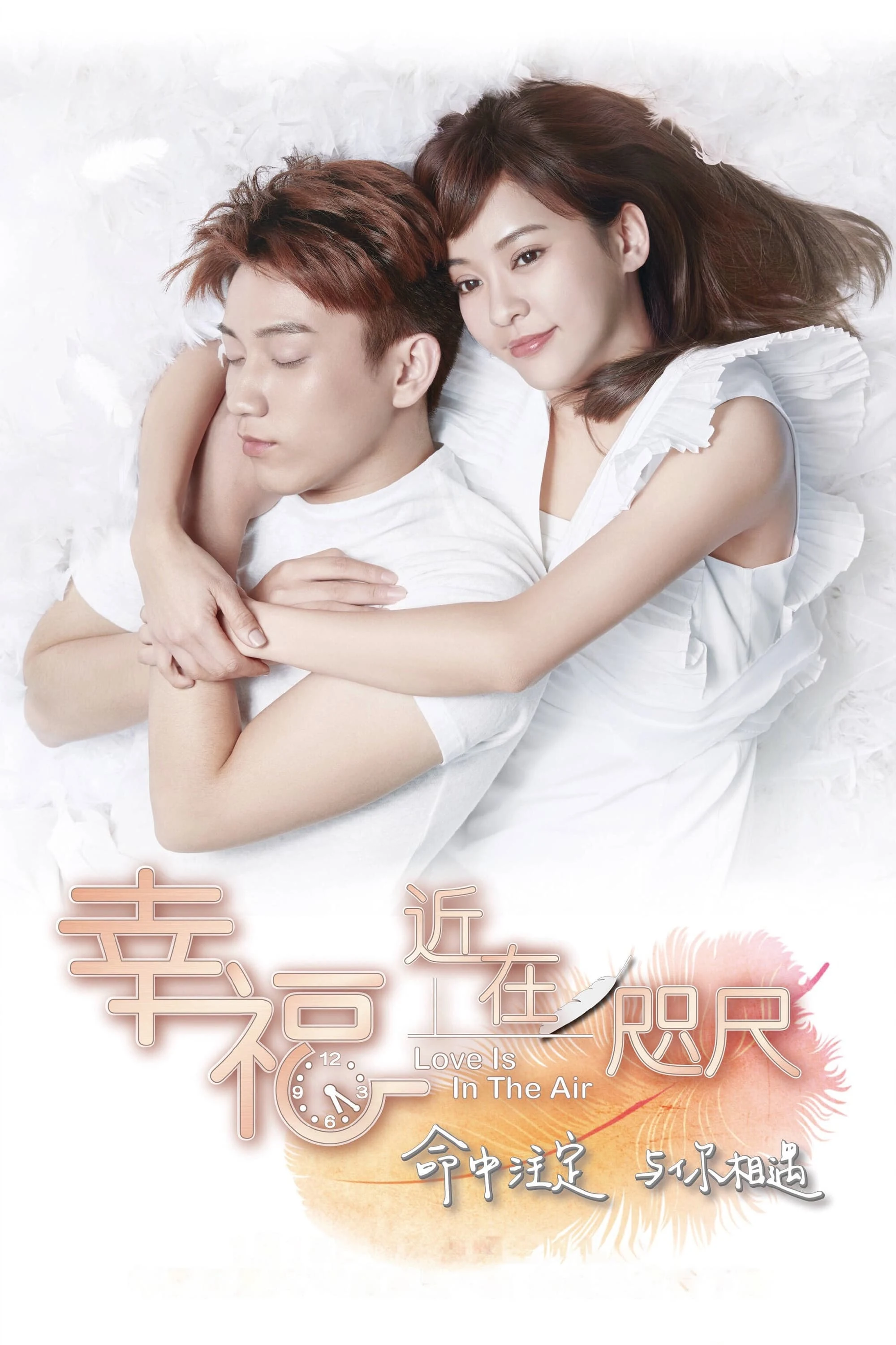 Poster  de Love is in the Air