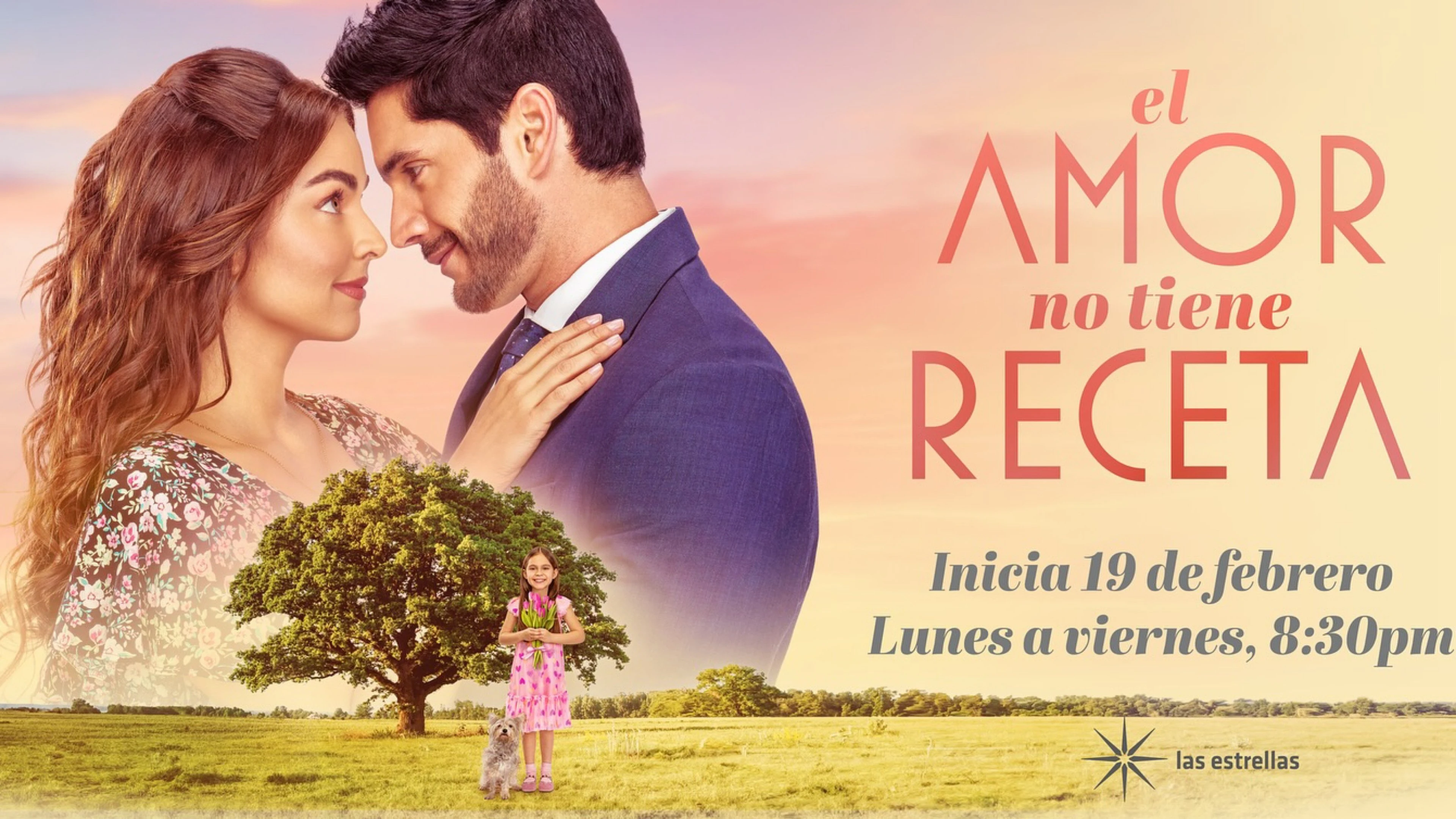 Foto de El amor no tiene receta