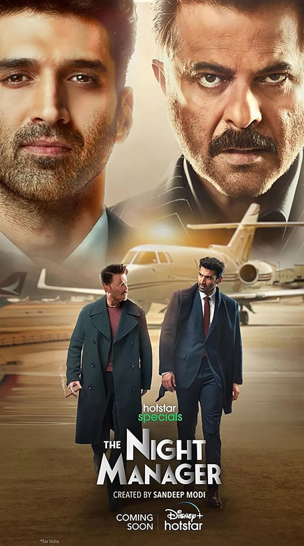 Poster  de El infiltrado
