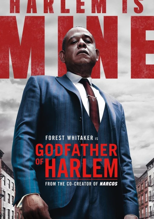 Poster  de Godfather of Harlem