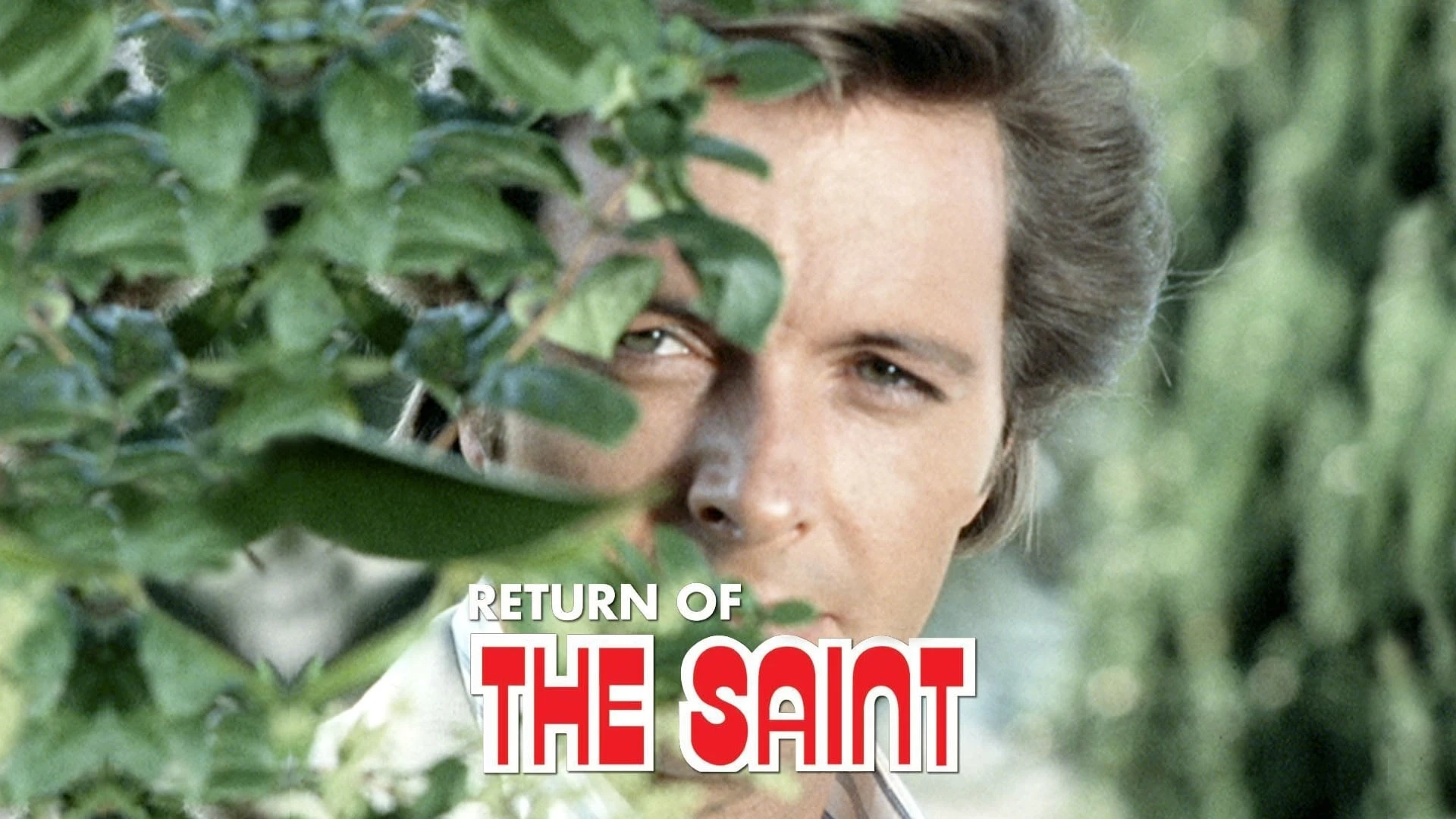 Foto de El regreso del Santo