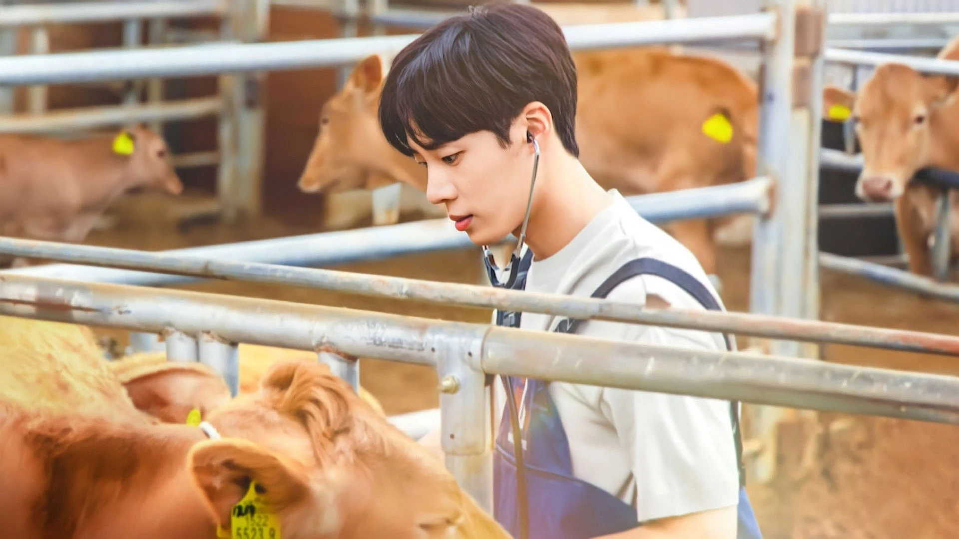 Foto de Érase un amor rural