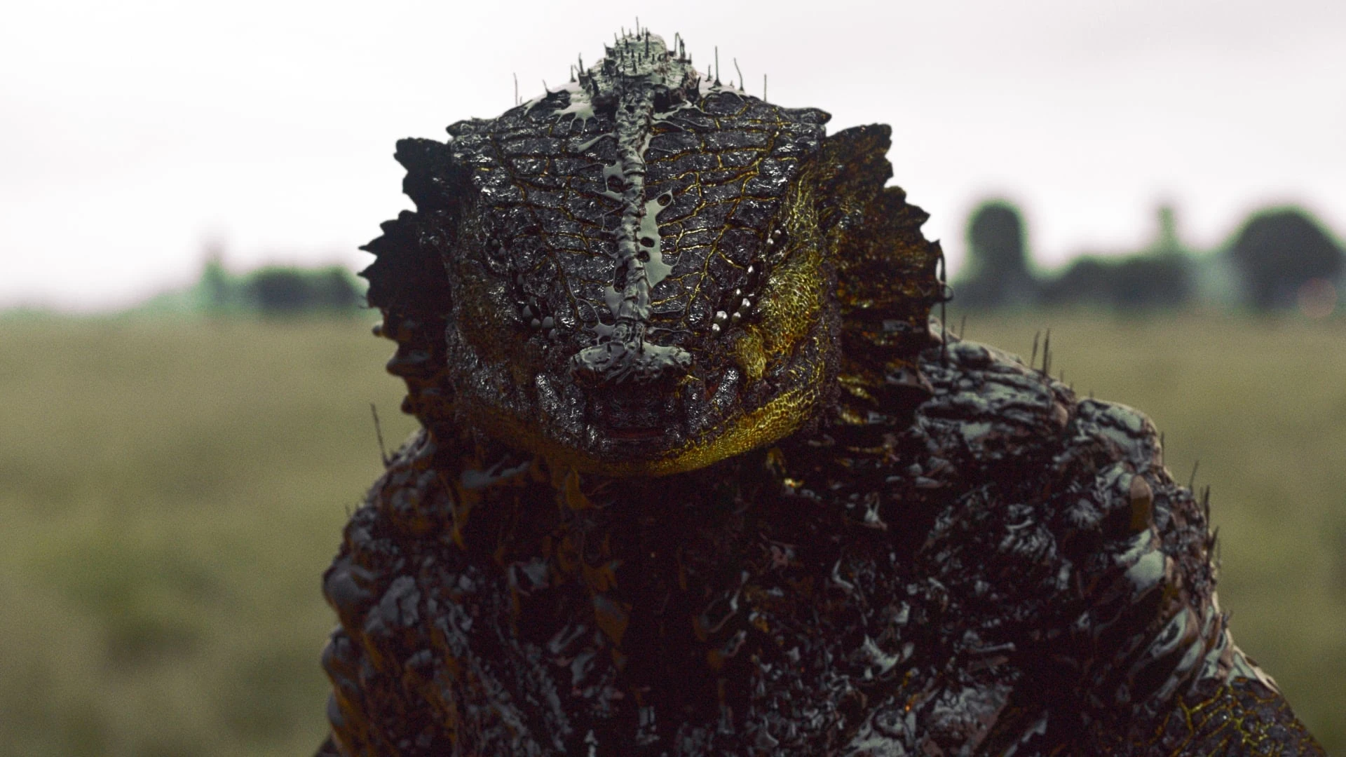 Foto de Oats Studios: Volume 1