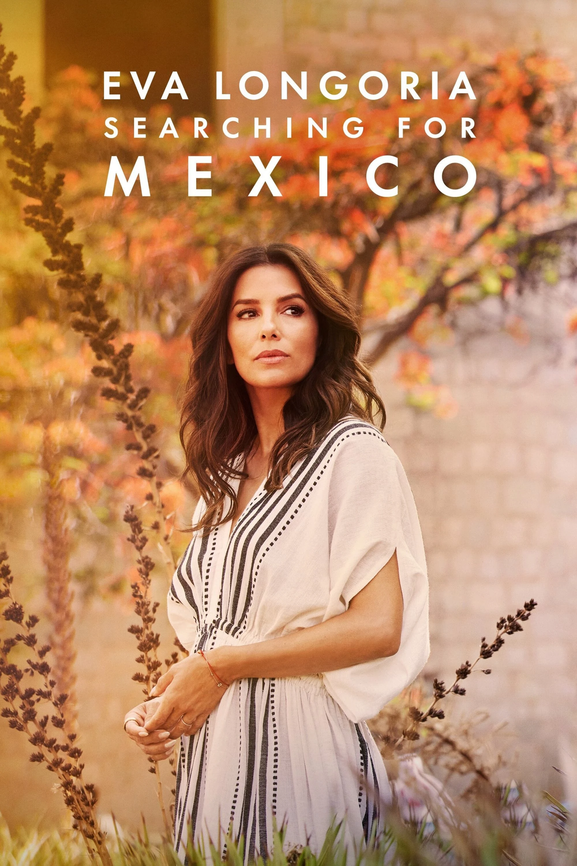 Poster  de Eva Longoria: Searching for Mexico en inglés