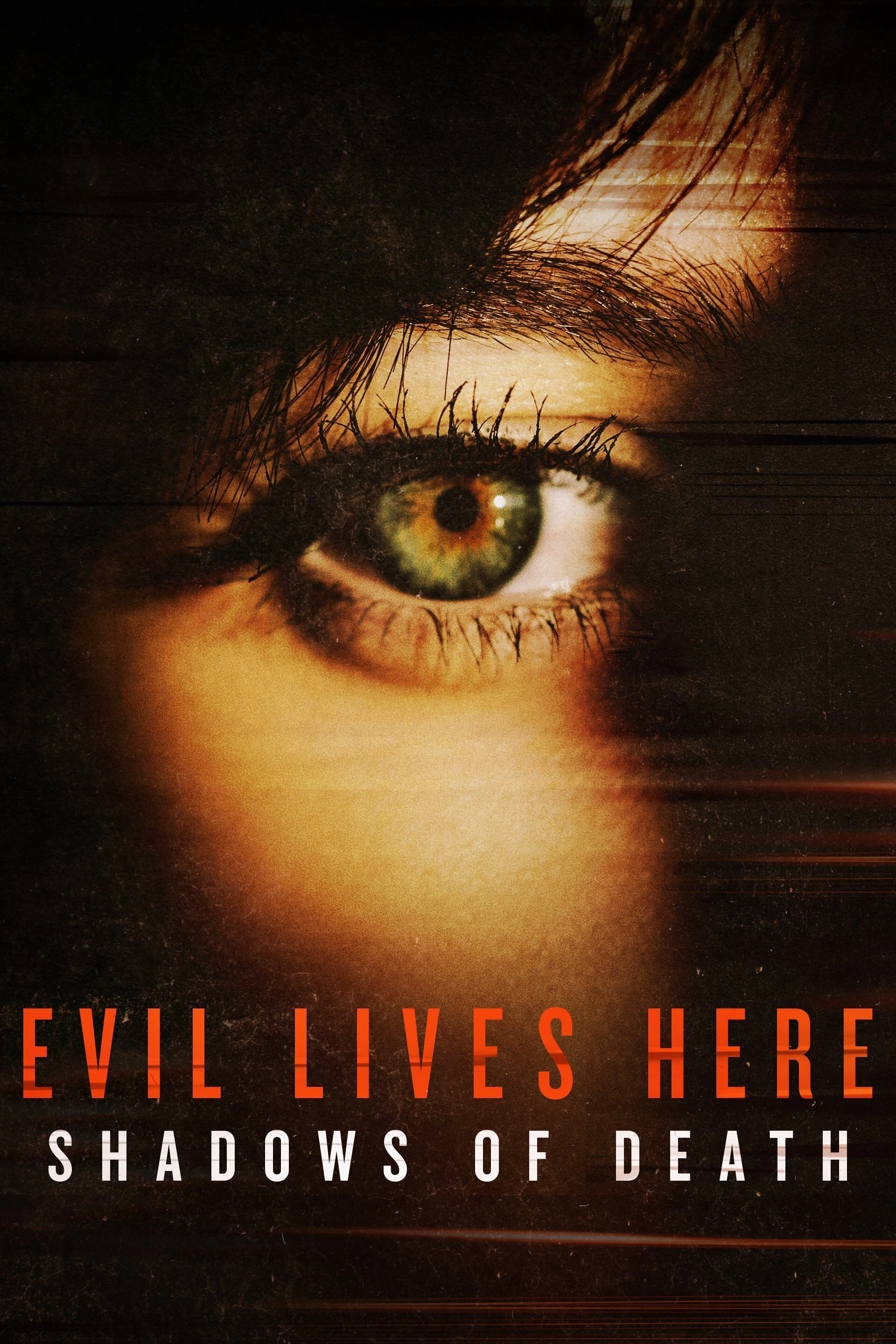 Poster  de Evil Lives Here: Shadows Of Death en inglés