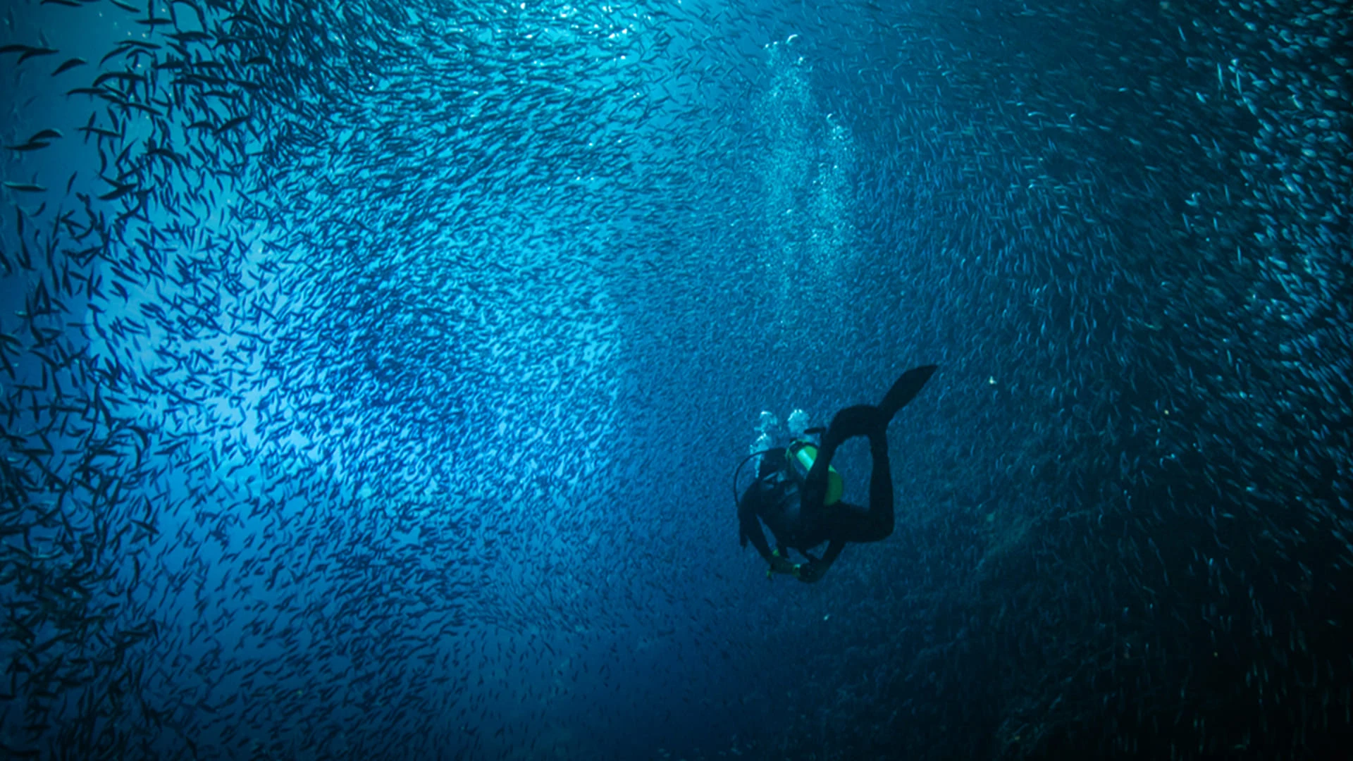 Foto de Expedição Oriente